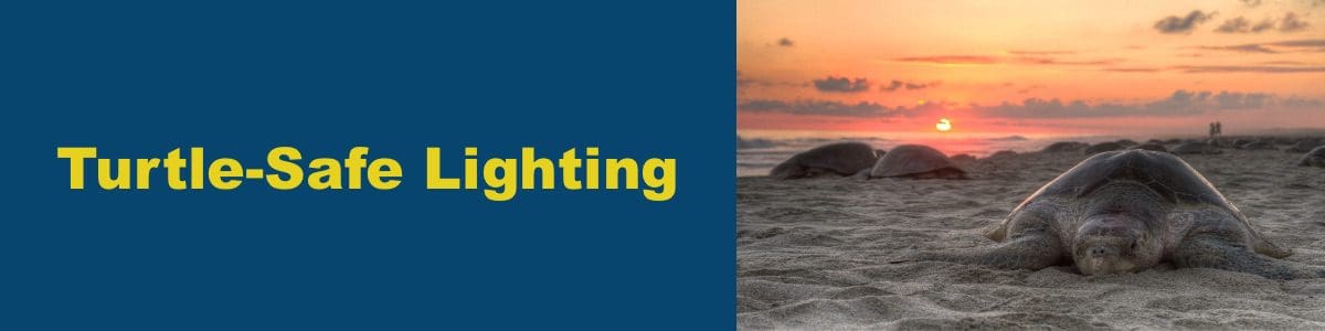 LED Bollard Lights for Turtle Friendly Lighting LED Bollard Lights for Turtle Friendly Lighting