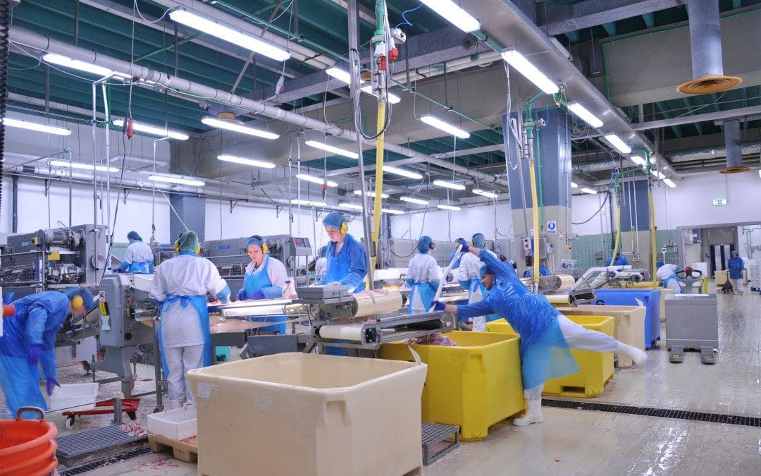 Food Processing Facilities Gain LED Lighting Option with NSF Sanitation Certified T8 LEDs