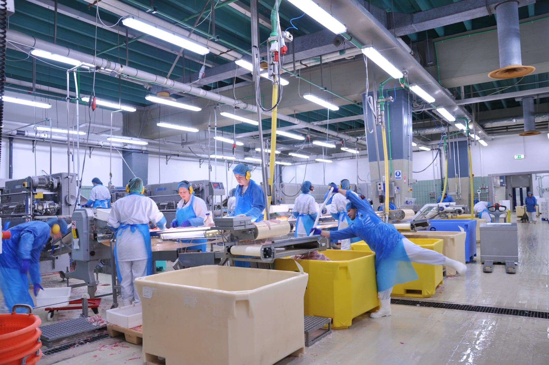 Food Processing Facilities Gain LED Lighting Option with NSF Sanitation Certified T8 LEDs