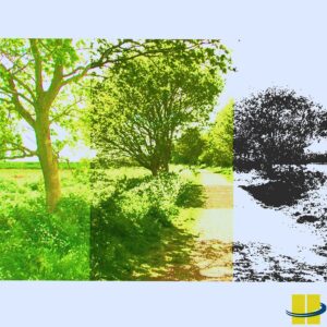 LED equivalent wall packs