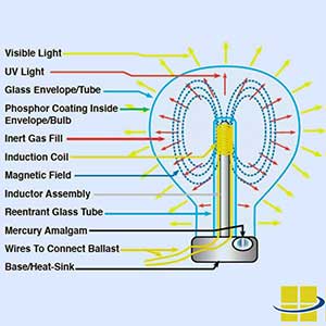 wall pack prismatic glass