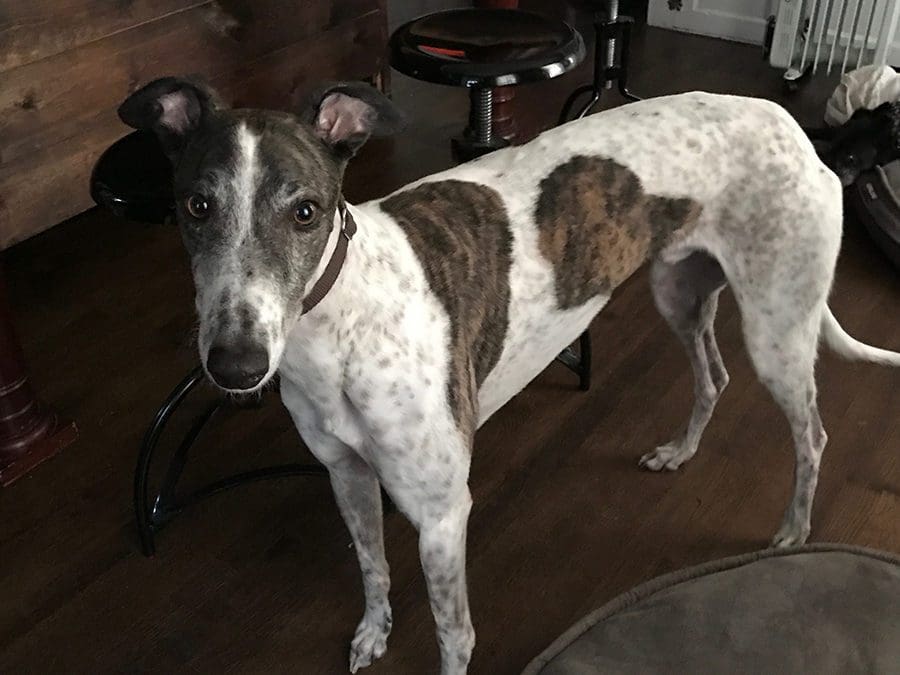 Access Fixtures Attends Lighting Conference in New York