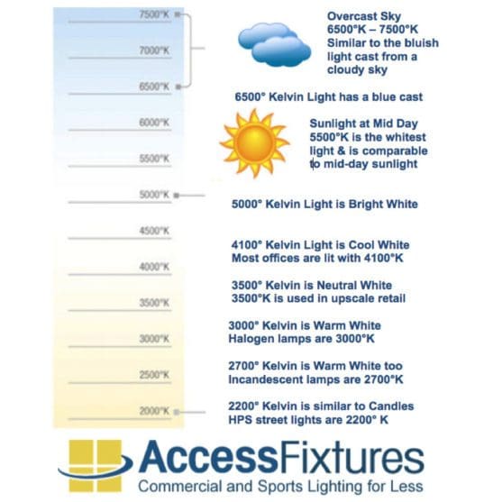 What Color Temperature Are LED Wildlife Lights for Lighting Coasts?