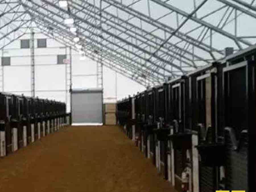 Horse Stable Lighting: How to Safely Light Your Stall