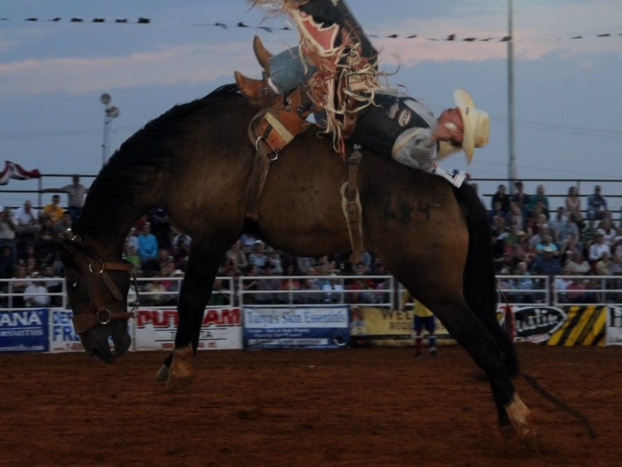 Rodeo Arena Lights: Safe, Efficient Lighting Solutions