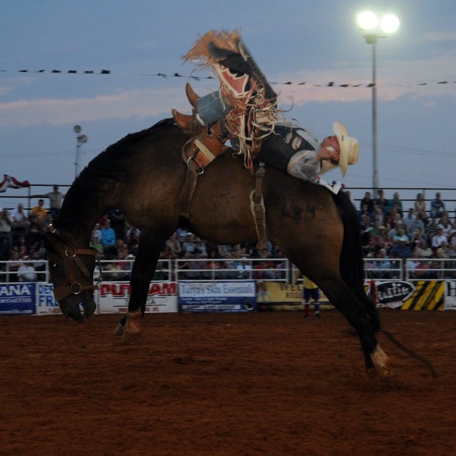 Rodeo Arena Lights: Safe, Efficient Lighting Solutions