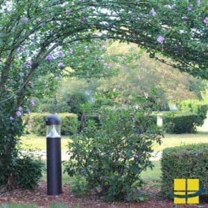 Outdoor Pathway Lighting