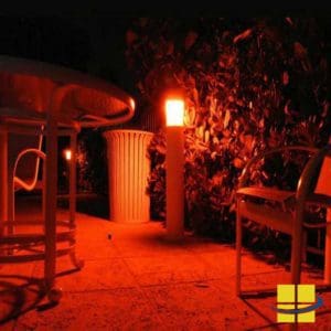 Turtle Friendly Lighting