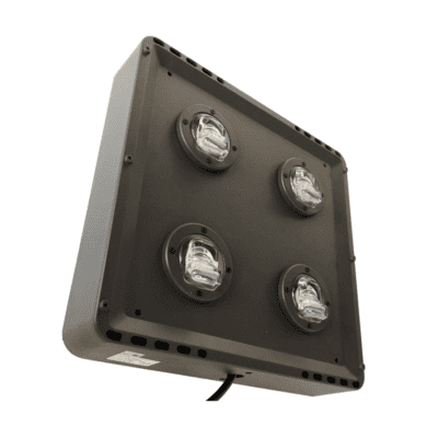 vandal resistant LED flood light