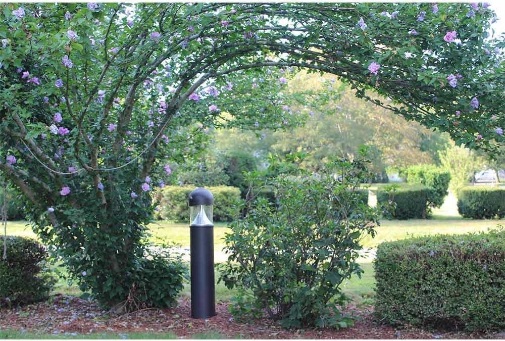 Outdoor LED Lights: Complete Guide to Illuminating Your Outdoor Spaces