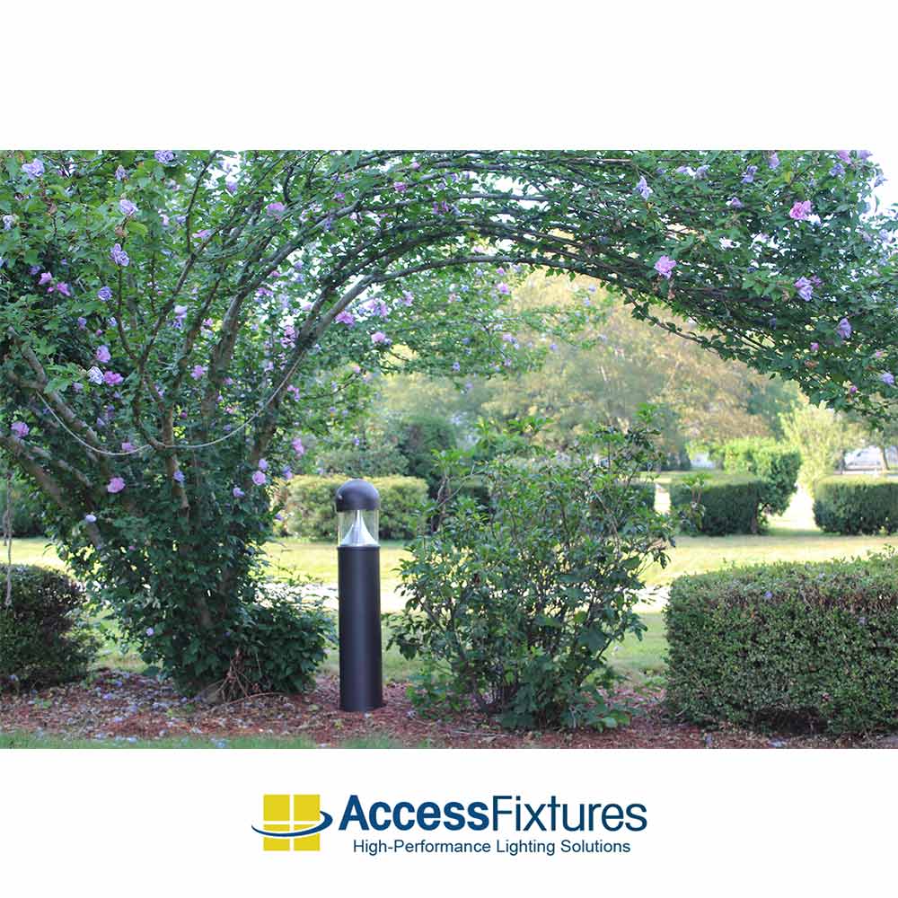 Outdoor LED Lights: Complete Guide to Illuminating Your Outdoor Spaces