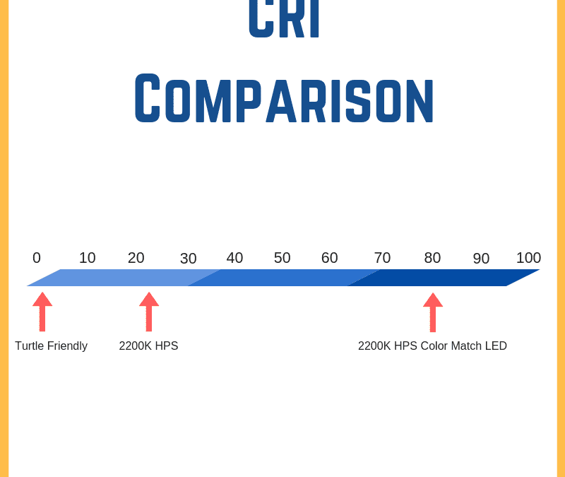 2200K Color vs Turtle Friendly – What’s the Difference?