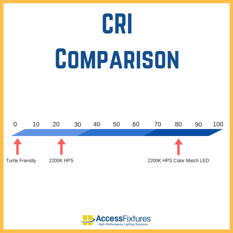 2200K Color vs Turtle Friendly – What’s the Difference?