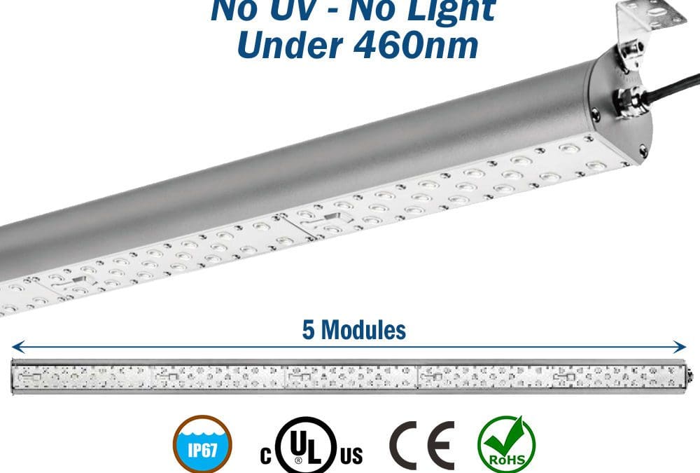 Brand New No-UV Lighting Replaces T8 Gold Tubes