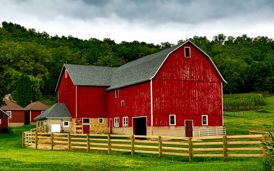 LED Barn Lighting Project Fulfills Customer Lighting Needs
