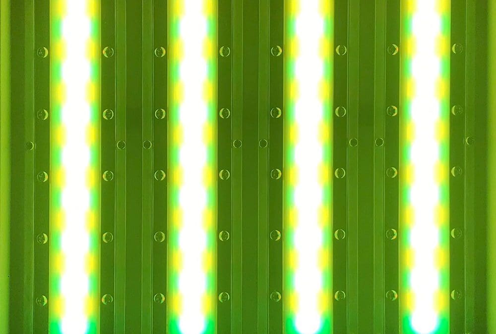 Non UV Light: Comparing Non UV LED Lights to No UV Light Below 450nm