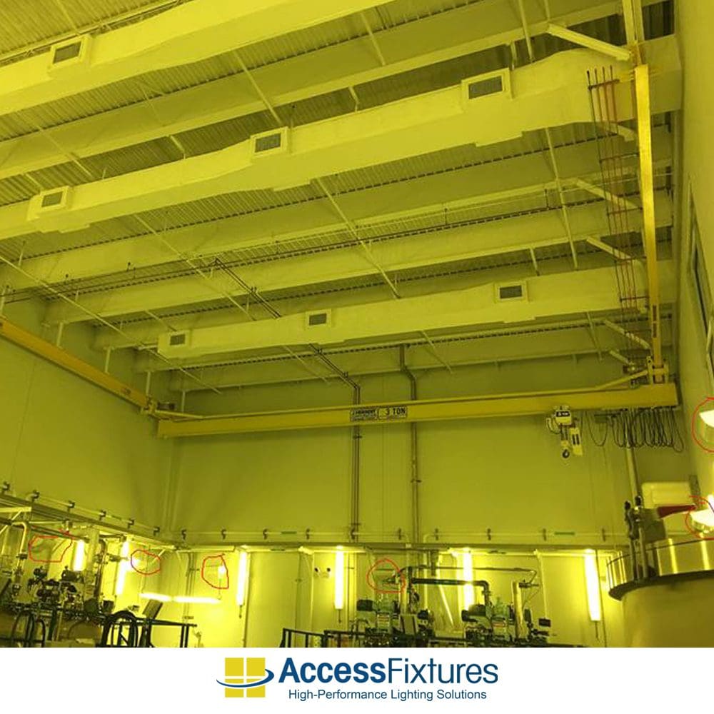 How Often Should A UV Free LED Light Be Replaced?