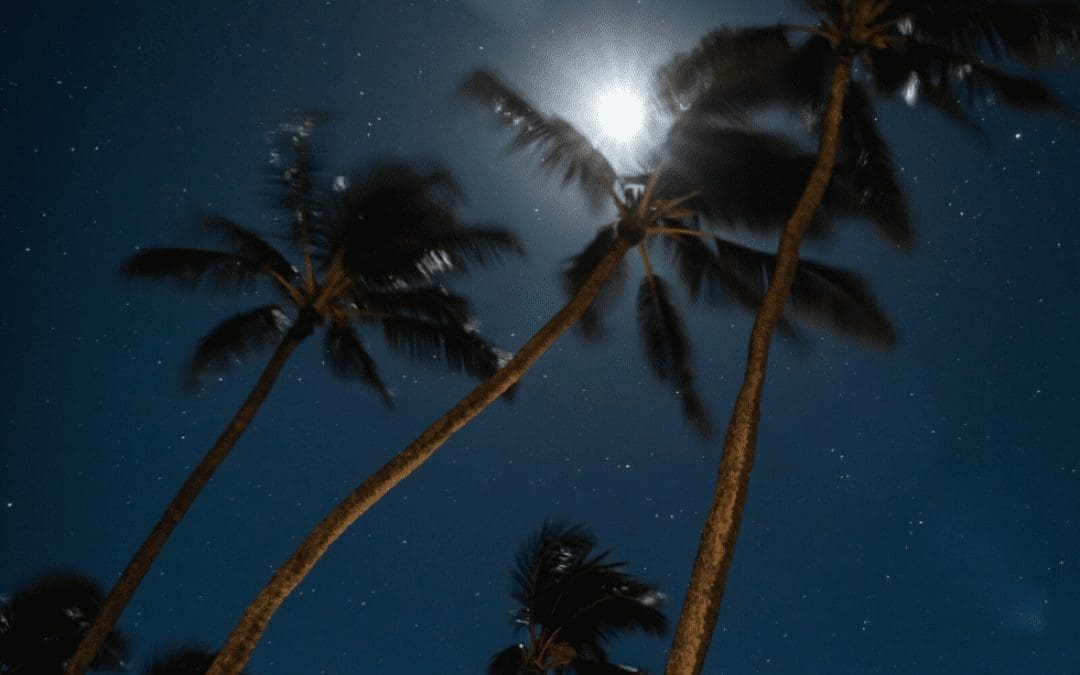 Hawaii Lighting Ordinances-Hawaiian Dark Sky LED Lighting Regulations