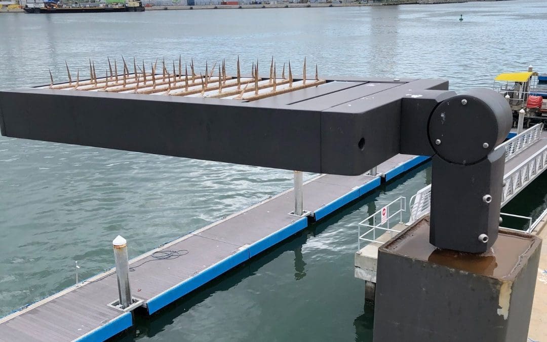 Dark Sky Compliant Lighting: Standards for LED Lights