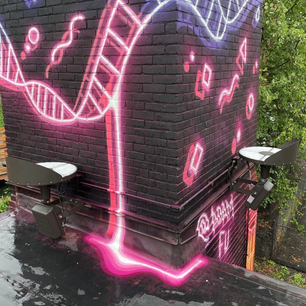 Ivy Corset Building Mural Closeup