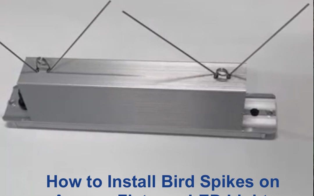 How to Install Bird Spikes on Access Fixtures LED Light Fixtures