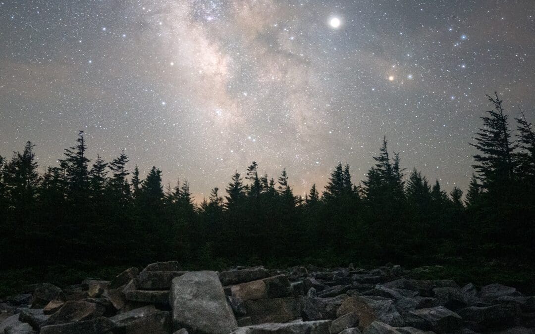 The Ultimate Light Pollution? An Access Fixtures Analysis of the Reflect Orbital FCC Proposal