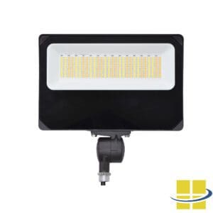 LED Flood Light