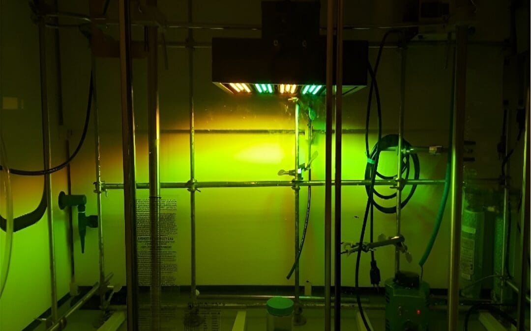 Best No UV LED Light Fixtures for 2025 – No UV Light Under 450nm