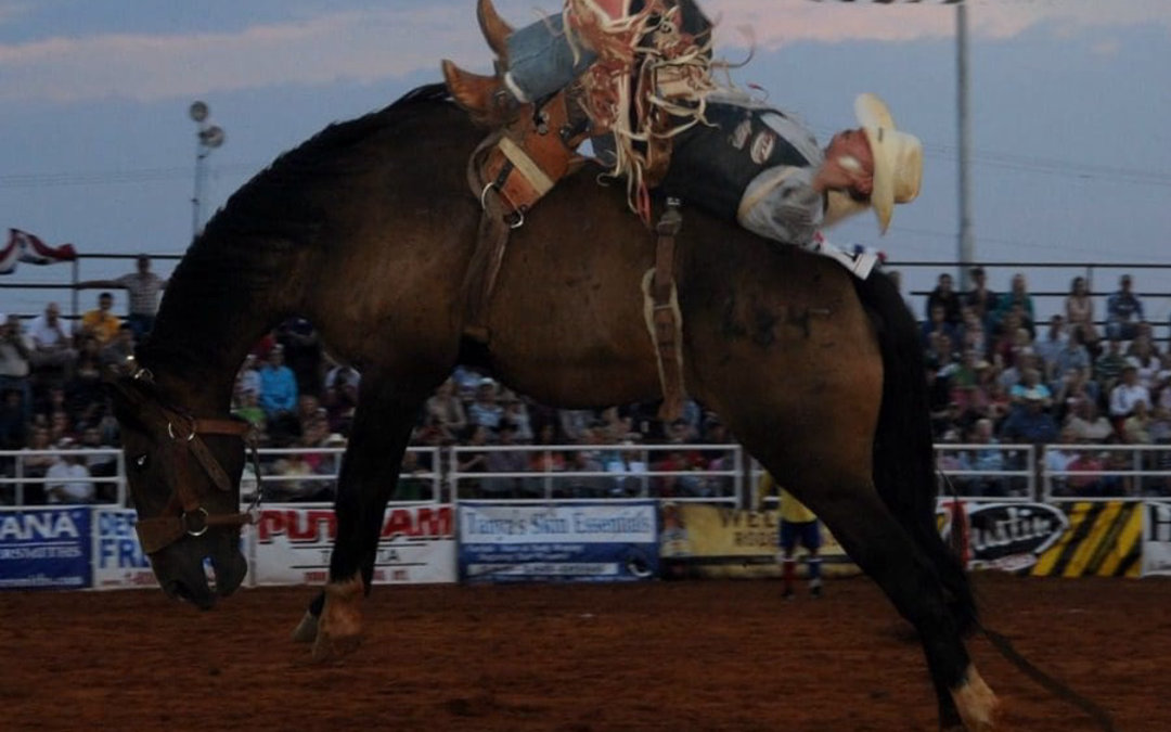 What Are the Best Outdoor LED Horse Arena Lighting Packages for 2026?