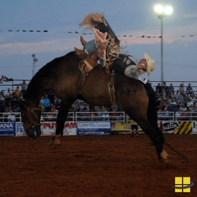 What Are the Best Outdoor LED Horse Arena Lighting Packages for 2026?